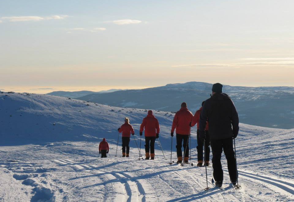 Ice Cap News