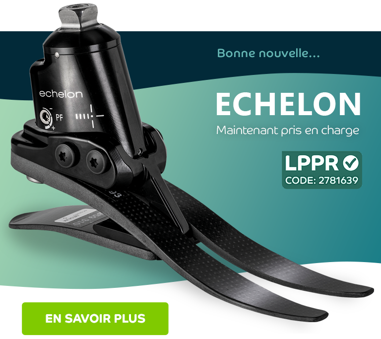 Echelon LPPR Code: 2781639