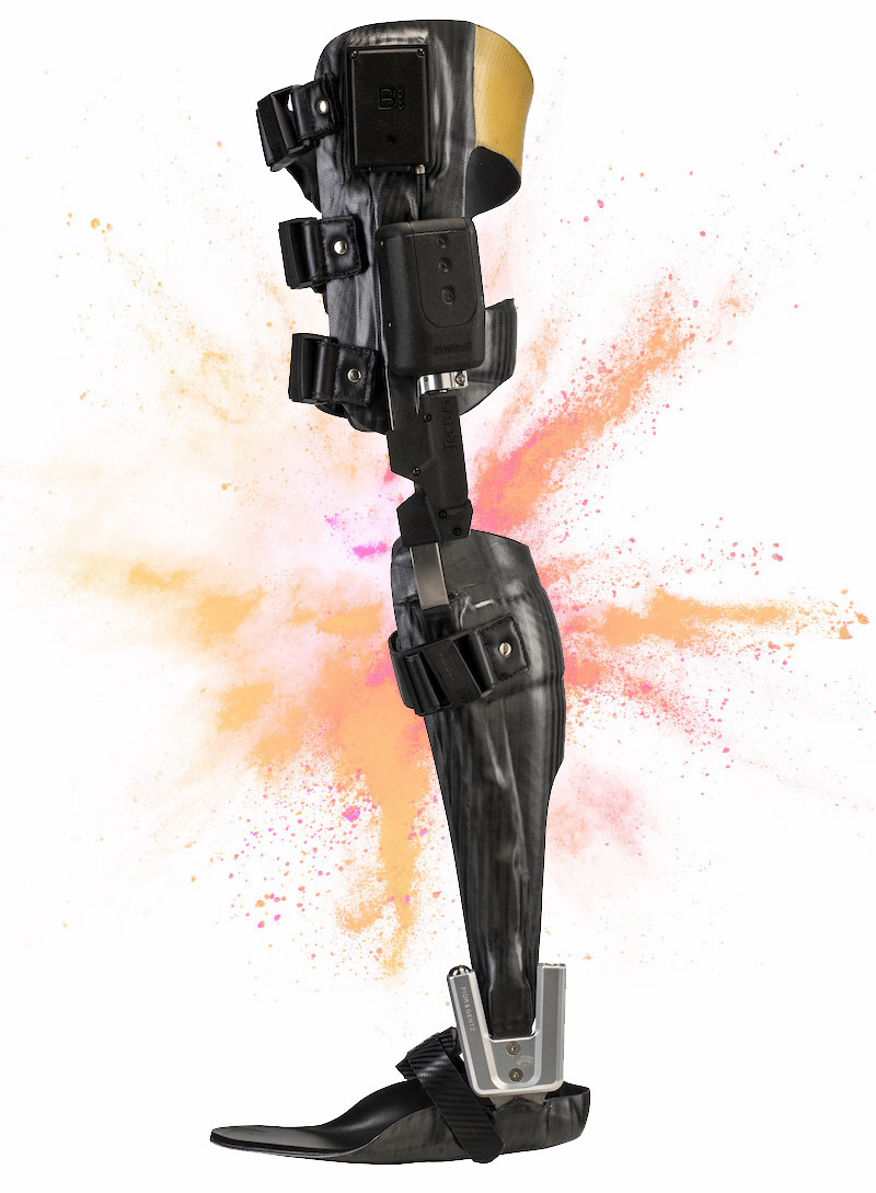 Tectus 04 Bgfefefe