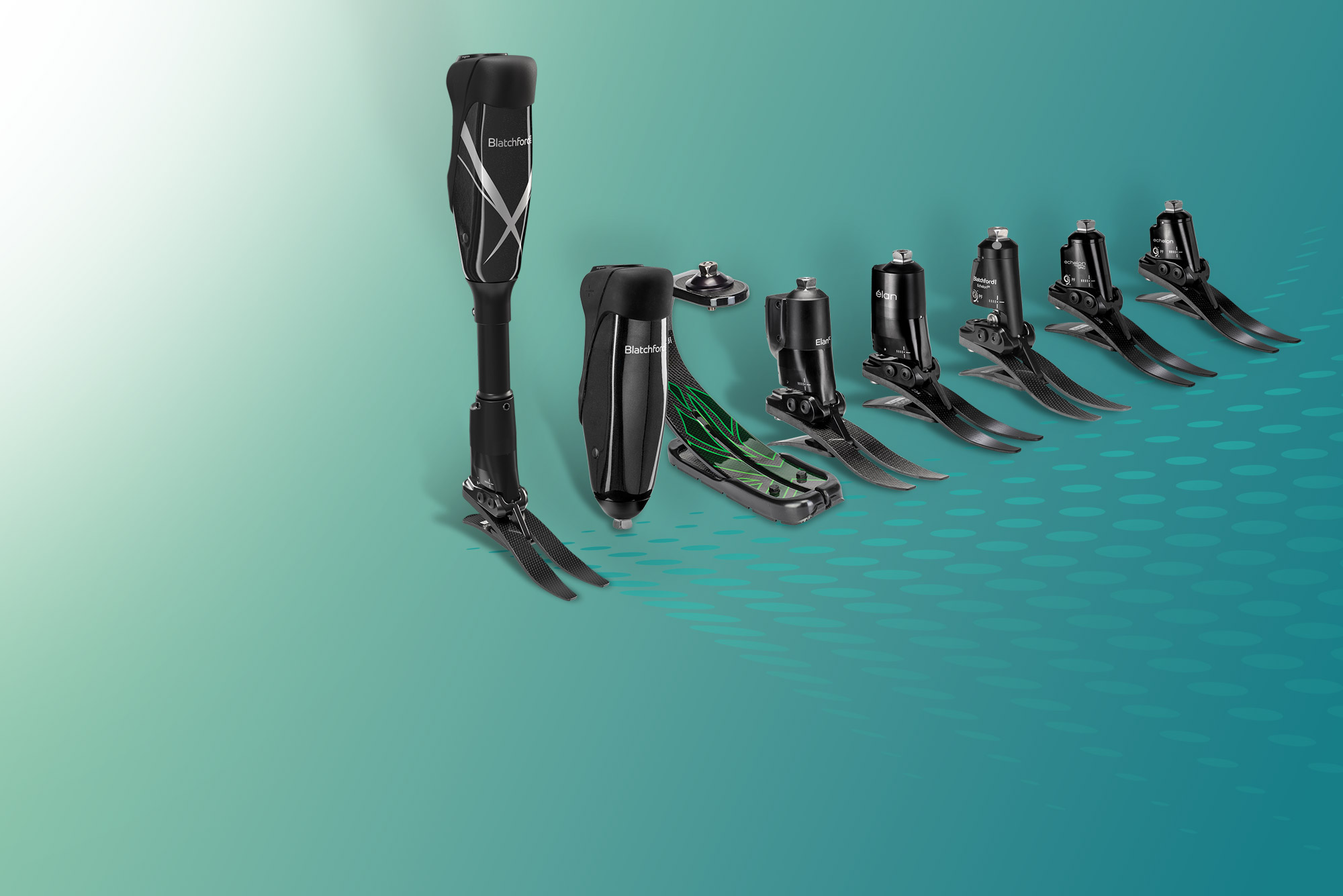 Interim Website Banner