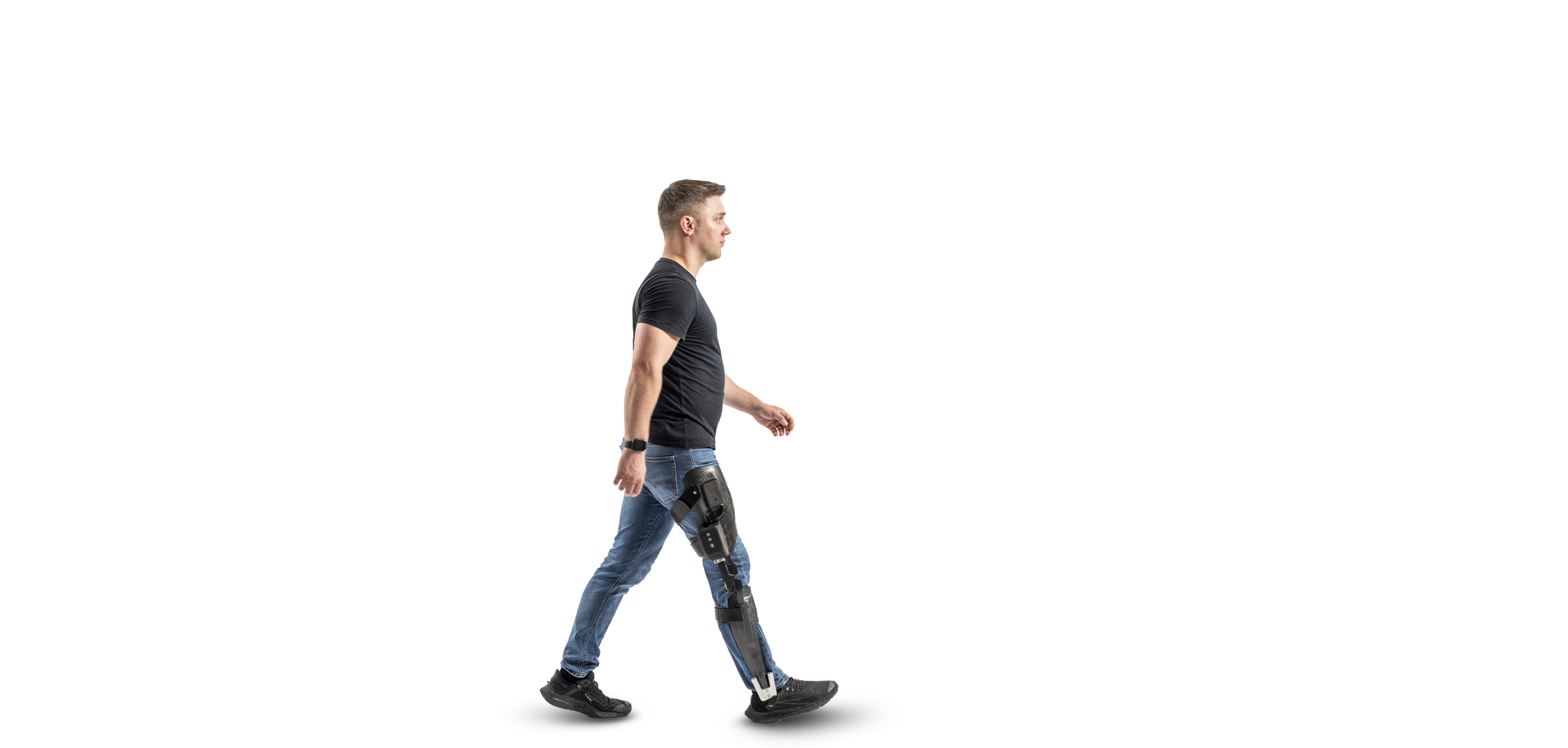 Tectus Cut Out Alex Shadows