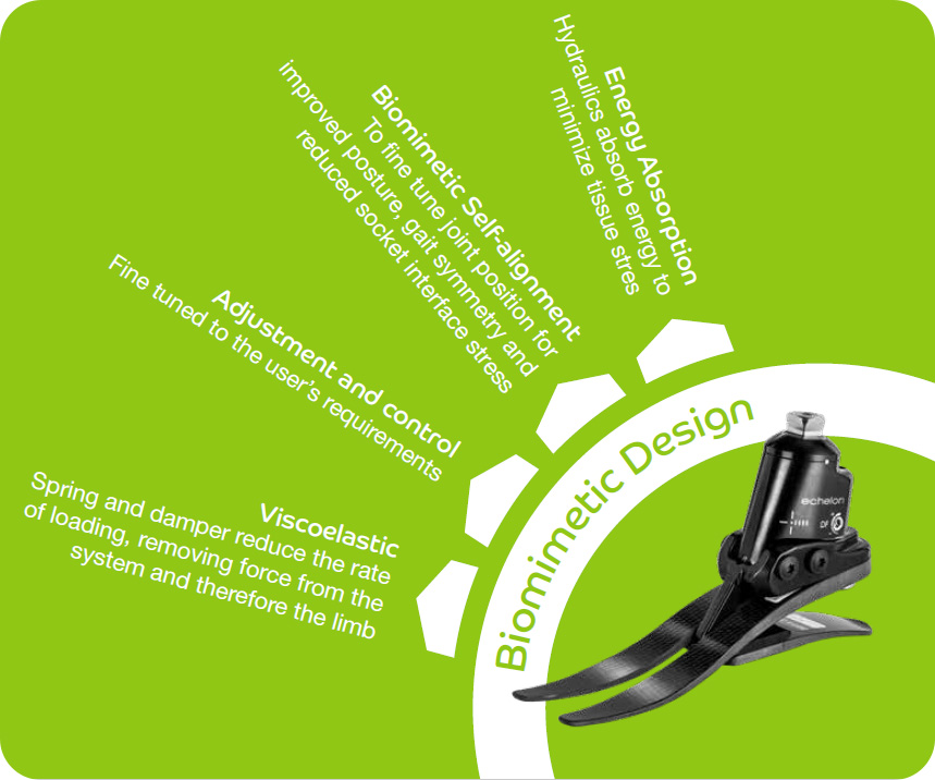 Biomimtic Design